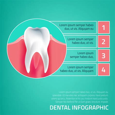 Gum Disease Stages Teeth Infographic Stock Vector By Annyart 108162460