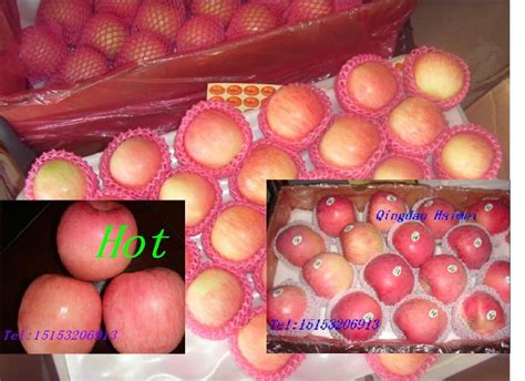 Chinese Red Fuji Applechina Haimei Price Supplier 21food