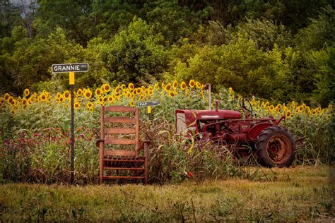 Shutterbug Finalists - Tennessee Summer - The Tennessee Magazine