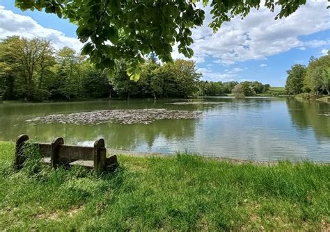 Fête de l eau et de la rivière la biodiversité aquatique mise en