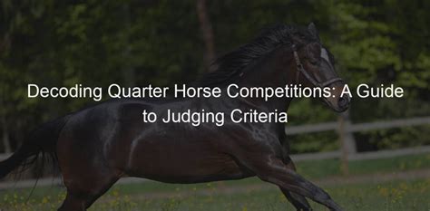 Decoding Quarter Horse Competitions: A Guide to Judging Criteria - NY ...