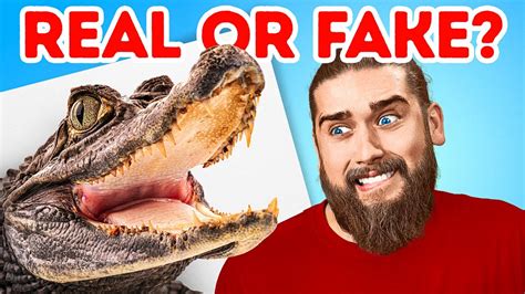 Guy Gets Chased By An Alligator 🐊😱 The Dudes React To The Most Viral