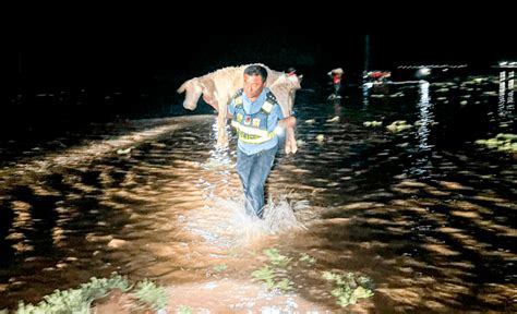 包头一地突降暴雨引发洪水，270余只羊被困！情况紧急救援群众积水