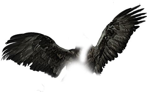 Dark Wings Png Black Wings Pngs Wings Png For Picsart Free