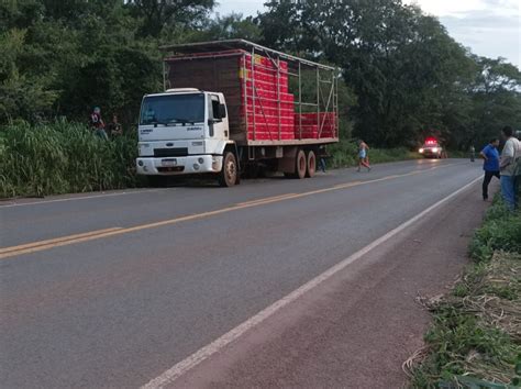 CAMINHÃO CARGA DE FRANGOS TOMBA NA GO 330 A CERCA DE 5 QUILÔMETROS