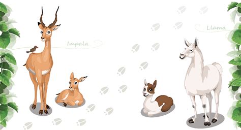 Happy Zoo on Behance