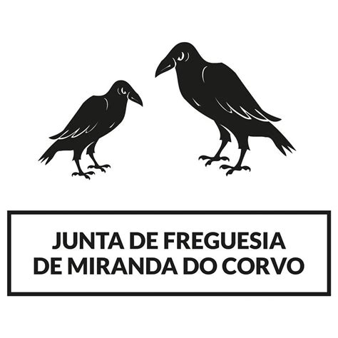 Junta De Miranda Do Corvo Lan A Novo Or Amento Participativo Not Cias