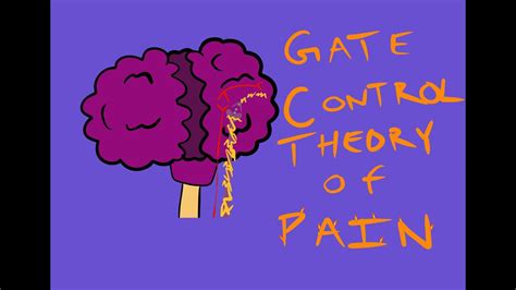 What Is Pain Melzack Wall S Gate Control Theory Of Pain