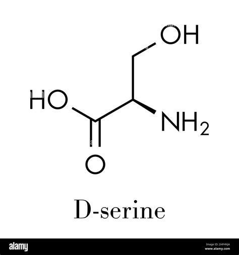 D Serine Amino Acid Molecule Enantiomer Of L Serine Skeletal Formula