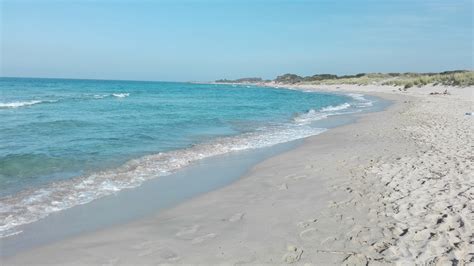 Riserva Naturale Ed Area Wwf Protetta Di Torre Guaceto Ostuni Carovigno