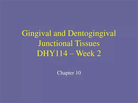 Ppt Gingival And Dentogingival Junctional Tissues Dhy Week