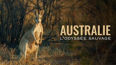 Australie : l'odyssée sauvage
