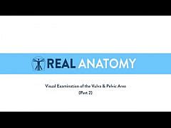 Real Anatomy Of Fucking Pussy Xxx Mobile Porno Videos Movies IPornTV Net