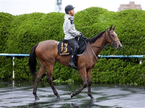 【キーンランドc】3カ月ぶりでもレイハリア好仕上がり 重賞連勝も馬三郎のつぶやき 競馬ニュース Netkeiba