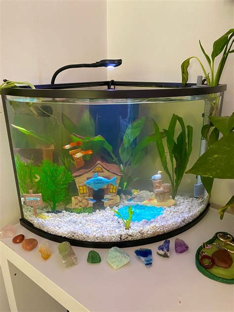 Fish Bowl Fish Bowl Ideas Terrarium Ideas Fish Taco Bowl Beta Fish Bowl