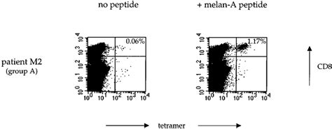 Tetramer analysis of in vitro expansion in response to melan-A peptide ... 