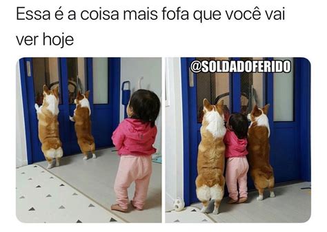 Quando Voc Vai Visitar Um Amigo E Na Casa Dele Tem Cachorro Memes