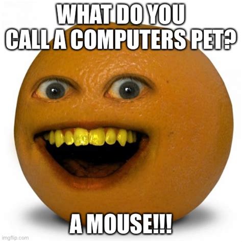 Annoying Orange Memes - Imgflip