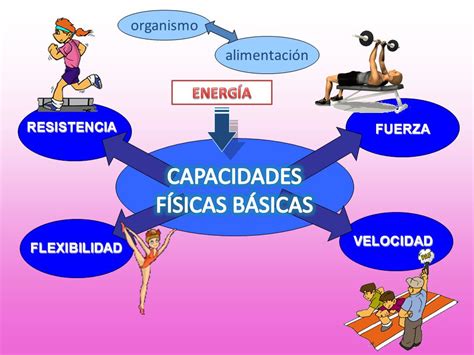 MOVIÉNDOTE EN EL COLE CAPACIDADES FÍSICAS BÁSICAS 6º