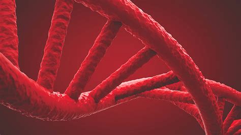 Evolution and core processes in gene expression