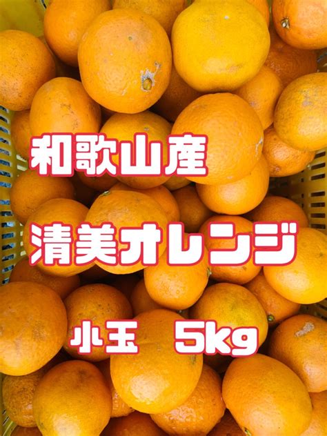 ⭐︎和歌山産⭐︎ 清見 オレンジ 小玉5kg 訳あり 清美 きよみ King ふぁーむ メルカリ