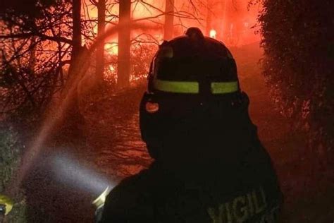 INCENDI BOSCHIVI SI RAFFORZANO MONITORAGGIO E PREVENZIONE