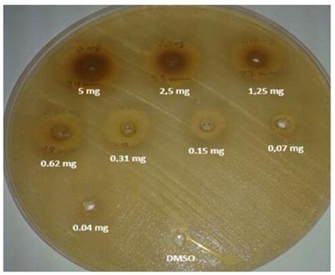 Antimicrobial Activity Against Candida Albicans In Different Download Scientific Diagram