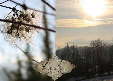 Merveilles En Papier Les Cygnes Sauvages