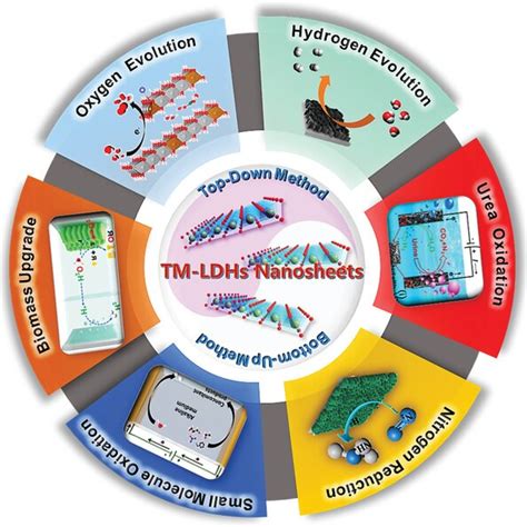 The Schematic Illustration Of AEM And LOM Pathways For Alkaline OER