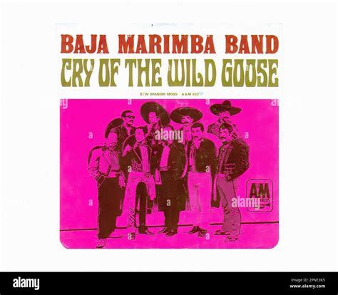 Baja Marimba Band A Vintage R P M Music Vinyl Record Stock