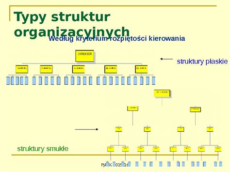 Rodzaje Firm I Struktury Organizacyjne Rodzaje Organizacji