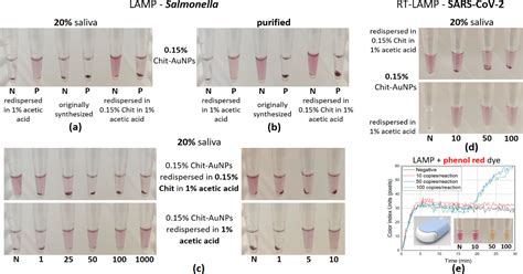 Naked Eye Detection Of Lamp Produced Nucleic Acids In Saliva Using