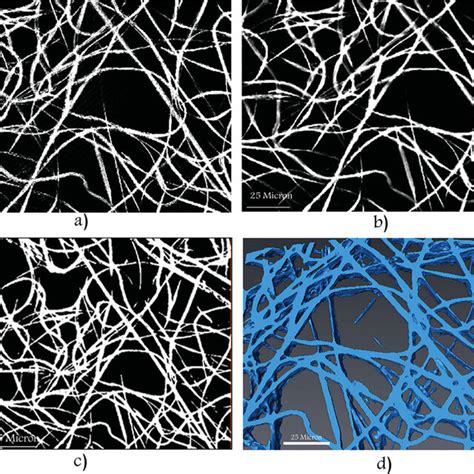 Typical Clsm Images Of Nanomicrofiber Scaffolds A Filtered With