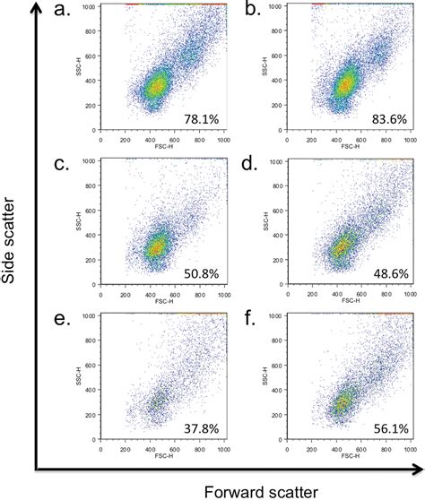 Figure 2 From Alloimmune Neonatal Neutropenia And Neonatal