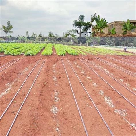 Custom Drip Irrigation Kit For Hectare Vegetable Gardens Trees