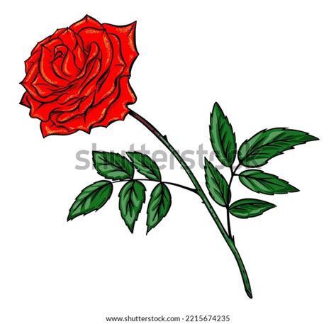 Red Rose Sketch Hand Drawn Isolated Stock Vector (Royalty Free ...