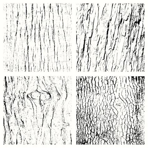 Page 2 Detailed Tree Bark Textures Vectors And Illustrations For Free Download Freepik