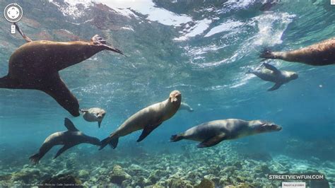 Google Street View arrive at Galapagos Islands – StreetViewFun