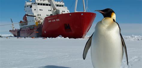 British Antarctic Survey To Explore An Area Previously Covered By Ice ...