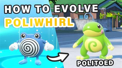 How To Evolve Poliwhirl Into Politoed Pokemon Scarlet Violet YouTube