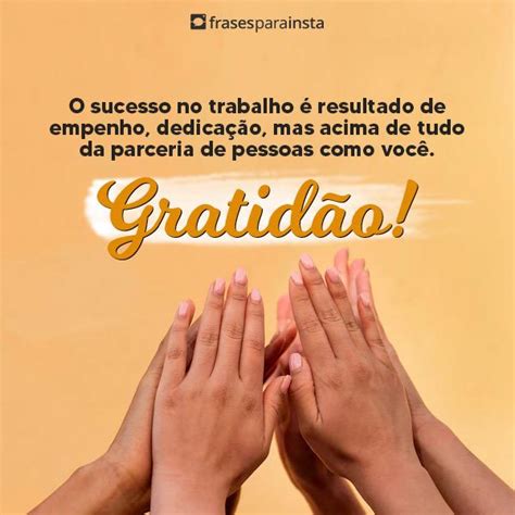 Frases De Agradecimento Profissional Para Celebrar Suas Conquistas