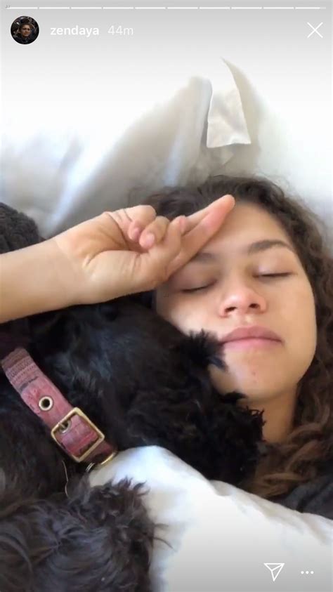 Zendaya Updates Fans With Funny Videos After Getting Her Wisdom Teeth ...