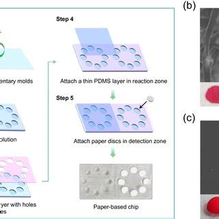 A Schematic Images Illustrating The Step By Step Fabrication Process Of
