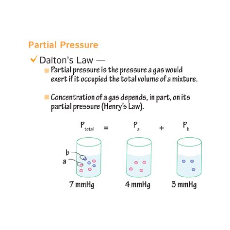 Physiology Glossary Partial Pressures Ditki Medical Biological