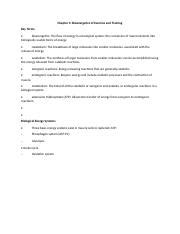 S C Chapter Notes Outline Docx Chapter Bioenergetics Of