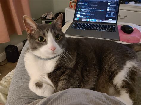 My Fat Pussy Hanging Out Between My Legs Scrolller