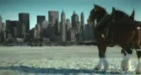 9/11 Budweiser Commercial, Clydesdales Bow to Honor Victims [VIDEO]