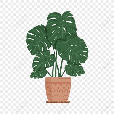 Hand Painted Potted Plants Green Pot Green Plant Green Light PNG