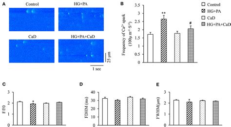 Frontiers Calcium Dobesilate Cad Attenuates High Glucose And High