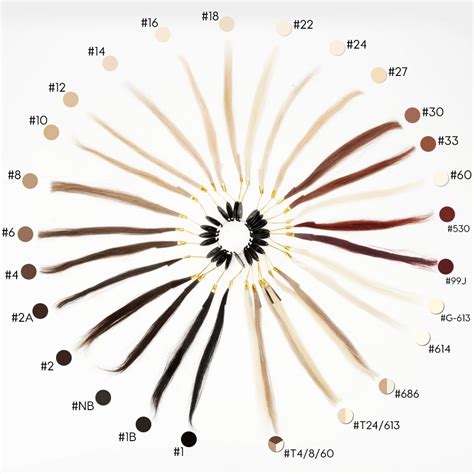 Stock Hair Density Chart Available For Instant Shipment New Times Hair